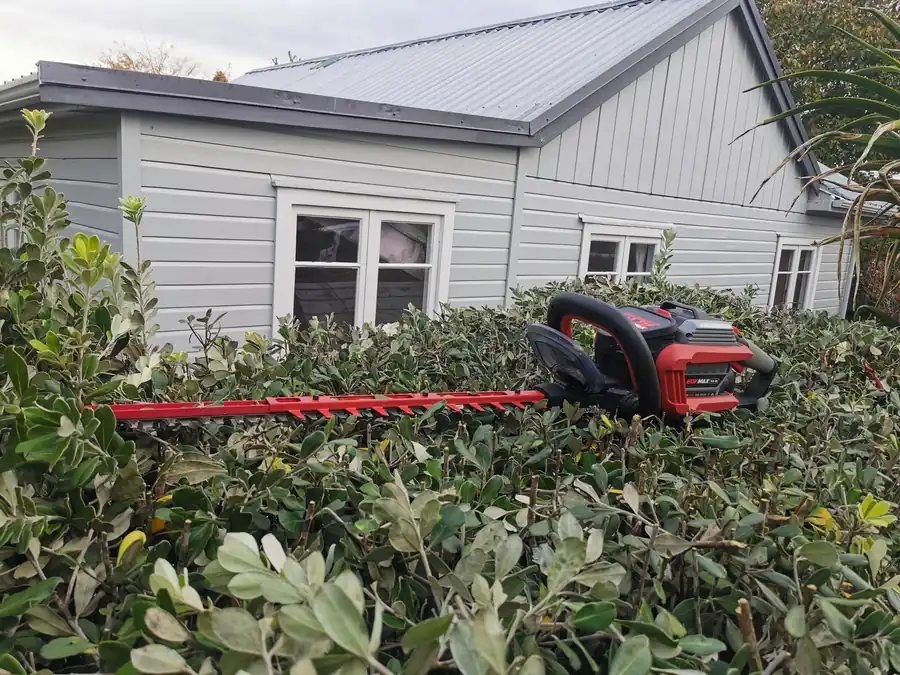 Pruning and hedge trimming service